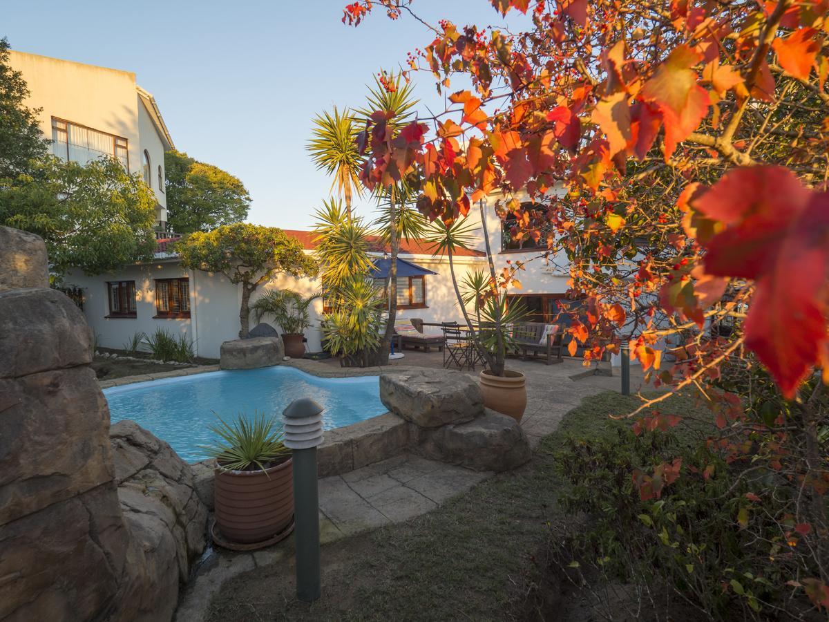Blue Oyster Bed And Breakfast Knysna Exterior photo